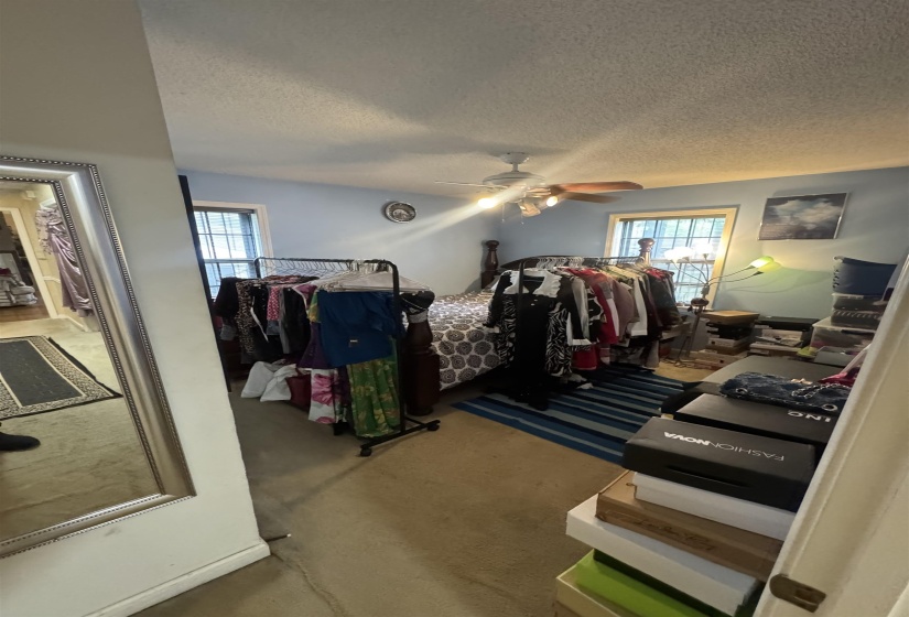 Carpeted room featuring a ceiling fan with light fixture and two windows