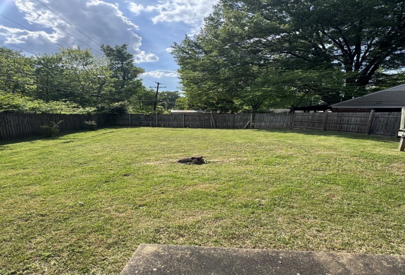Expansive grassy backyard featuring a perimeter wood fence, mature trees, and a concrete patio section