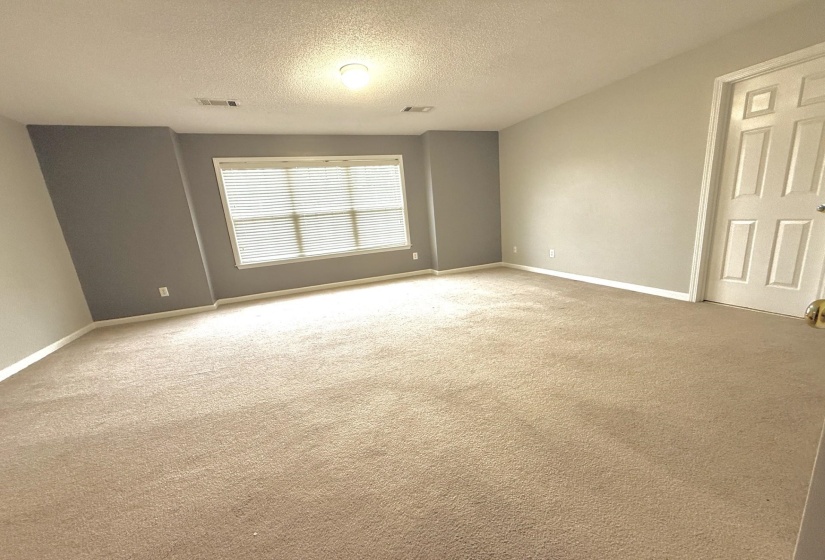 Spacious carpeted room featuring a large window with blinds, light gray walls, white trim, and a six-panel interior door