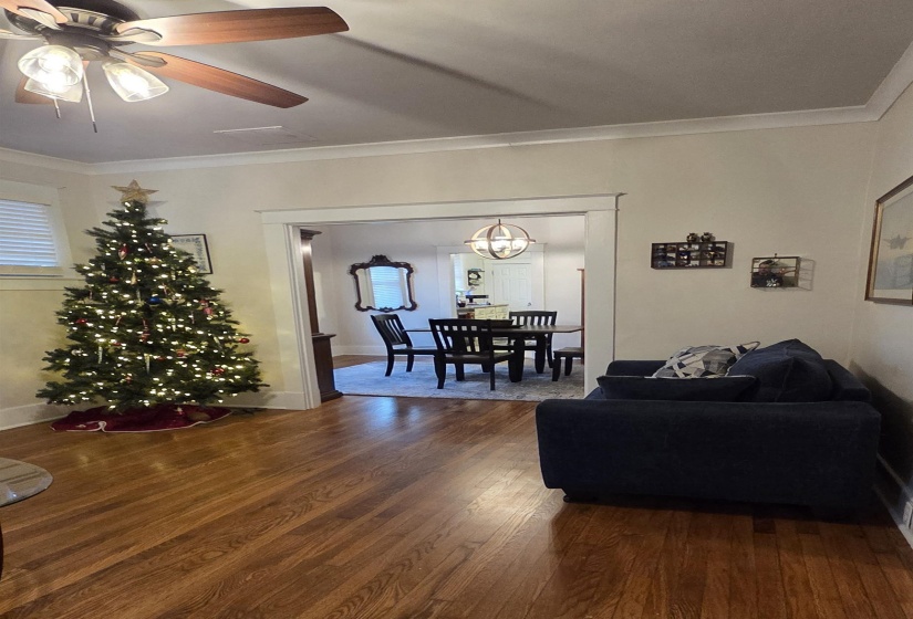 Living room featuring crown molding, dark wood finished floors, a chandelier, and ceiling fan