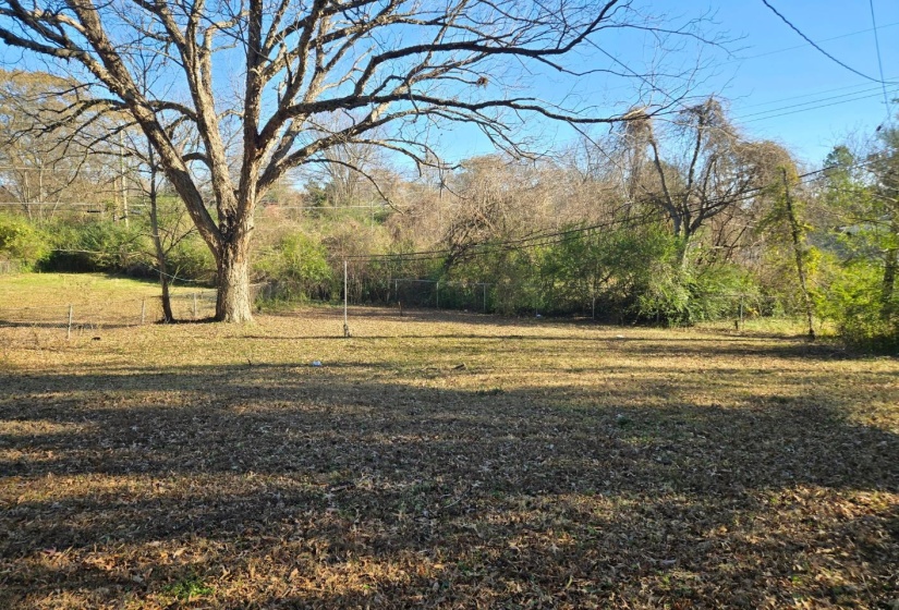 View of grassy yard