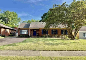 5395 LAURIE LN, Memphis, Tennessee 38120, 3 Bedroom Bedrooms, 7 Room Rooms,2 BathroomBathrooms,Residential,For Sale,LAURIE,0,10214054 5395 LAURIE LN, Memphis, Tennessee 38120, 3 Bedroom Bedrooms, 7 Room Rooms,2 BathroomBathrooms,Residential,For Sale,LAURIE,0,10214054