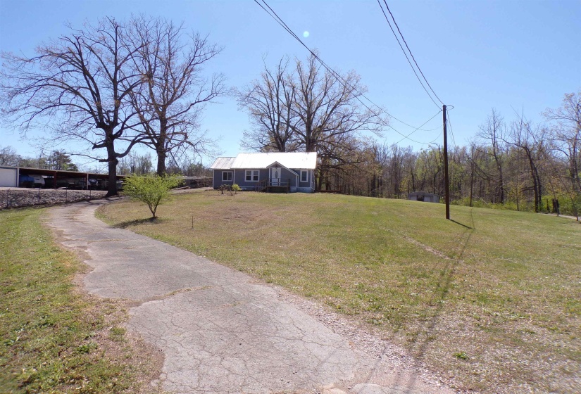 View of grassy yard