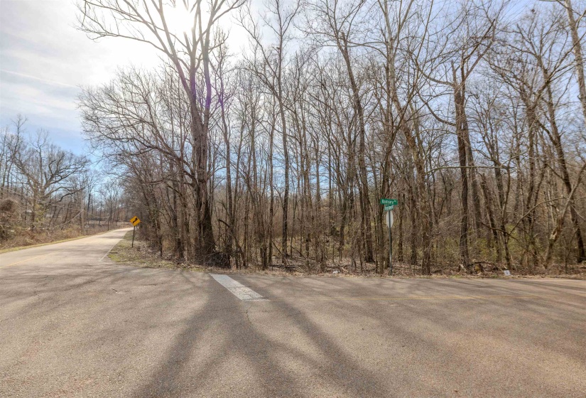 5155 BENJESTOWN RD, Memphis, Tennessee 38127, 0 , 0 ,0,Land,For Sale,BENJESTOWN,0,10222388