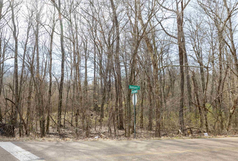 5155 BENJESTOWN RD, Memphis, Tennessee 38127, 0 , 0 ,0,Land,For Sale,BENJESTOWN,0,10222388