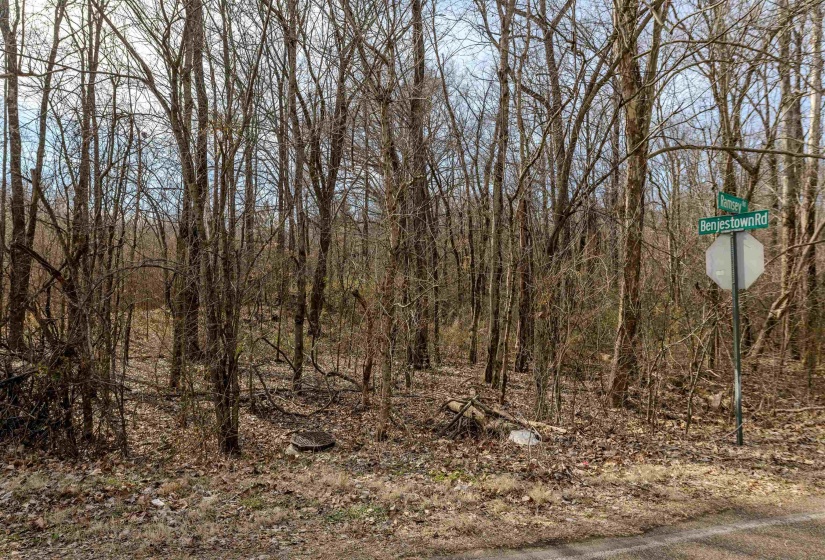 5155 BENJESTOWN RD, Memphis, Tennessee 38127, 0 , 0 ,0,Land,For Sale,BENJESTOWN,0,10222388