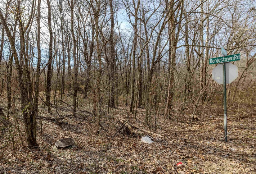5155 BENJESTOWN RD, Memphis, Tennessee 38127, 0 , 0 ,0,Land,For Sale,BENJESTOWN,0,10222388