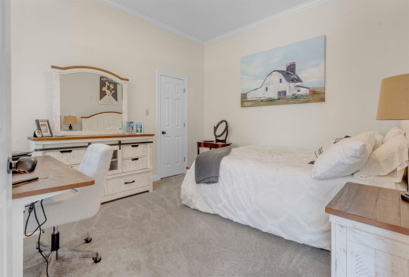 Carpeted room featuring light-colored walls and crown molding
