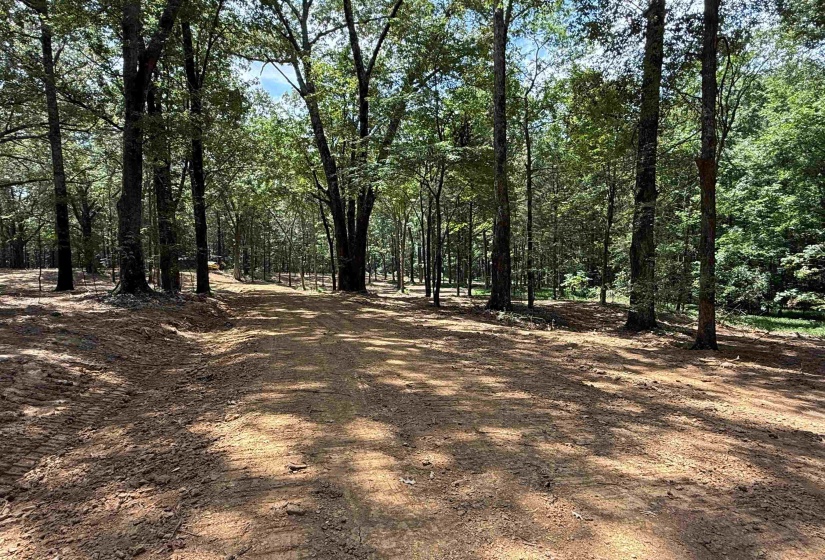 0 DONELSON DR, Eads, Tennessee 38028, 0 , 0 ,0,Land,For Sale,DONELSON,0,10222423