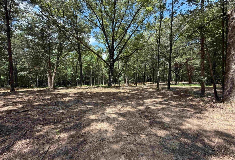 0 DONELSON DR, Eads, Tennessee 38028, 0 , 0 ,0,Land,For Sale,DONELSON,0,10222423