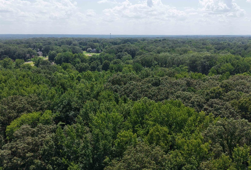 0 DONELSON DR, Eads, Tennessee 38028, 0 , 0 ,0,Land,For Sale,DONELSON,0,10222423