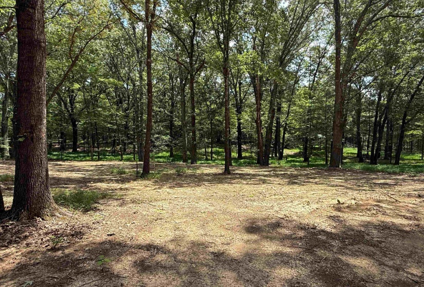 0 DONELSON DR, Eads, Tennessee 38028, 0 , 0 ,0,Land,For Sale,DONELSON,0,10222423
