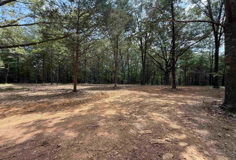 0 DONELSON DR, Eads, Tennessee 38028, 0 , 0 ,0,Land,For Sale,DONELSON,0,10222423