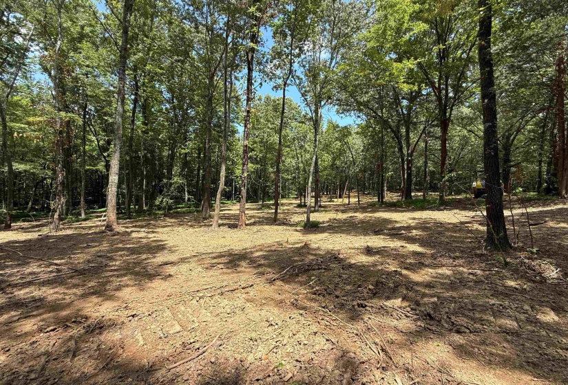 0 DONELSON DR, Eads, Tennessee 38028, 0 , 0 ,0,Land,For Sale,DONELSON,0,10222423