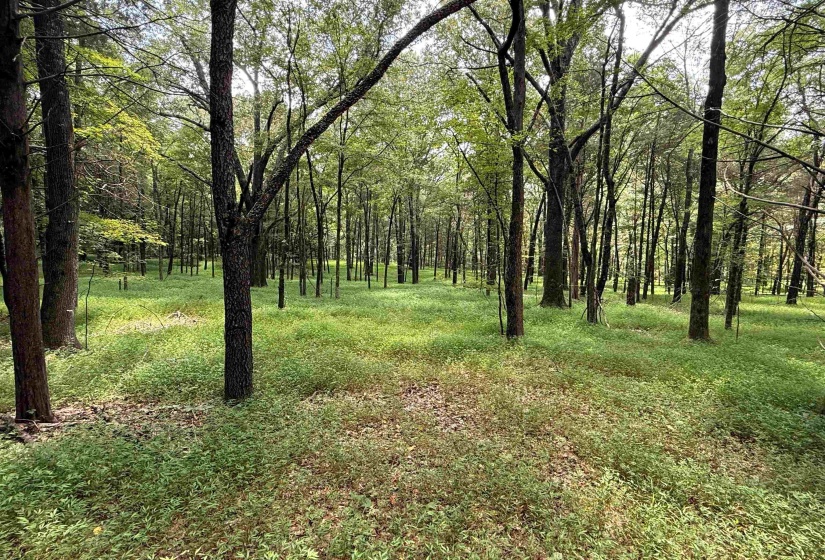 0 DONELSON DR, Eads, Tennessee 38028, 0 , 0 ,0,Land,For Sale,DONELSON,0,10222423
