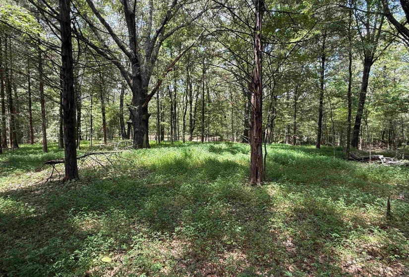 0 DONELSON DR, Eads, Tennessee 38028, 0 , 0 ,0,Land,For Sale,DONELSON,0,10222423