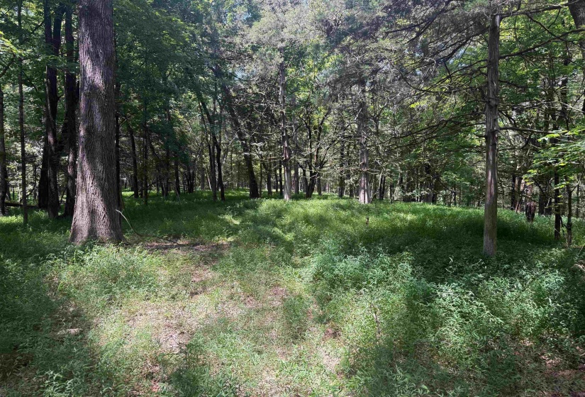 0 DONELSON DR, Eads, Tennessee 38028, 0 , 0 ,0,Land,For Sale,DONELSON,0,10222423