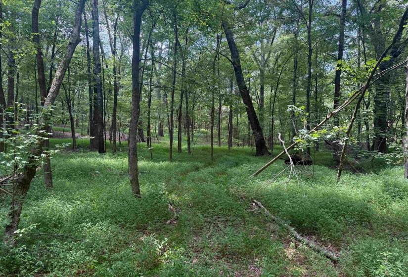 0 DONELSON DR, Eads, Tennessee 38028, 0 , 0 ,0,Land,For Sale,DONELSON,0,10222423