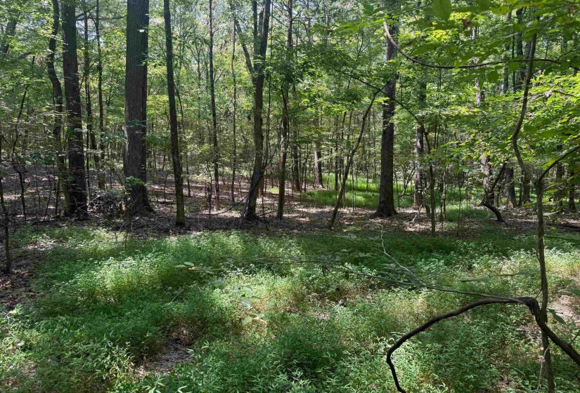 0 DONELSON DR, Eads, Tennessee 38028, 0 , 0 ,0,Land,For Sale,DONELSON,0,10222423
