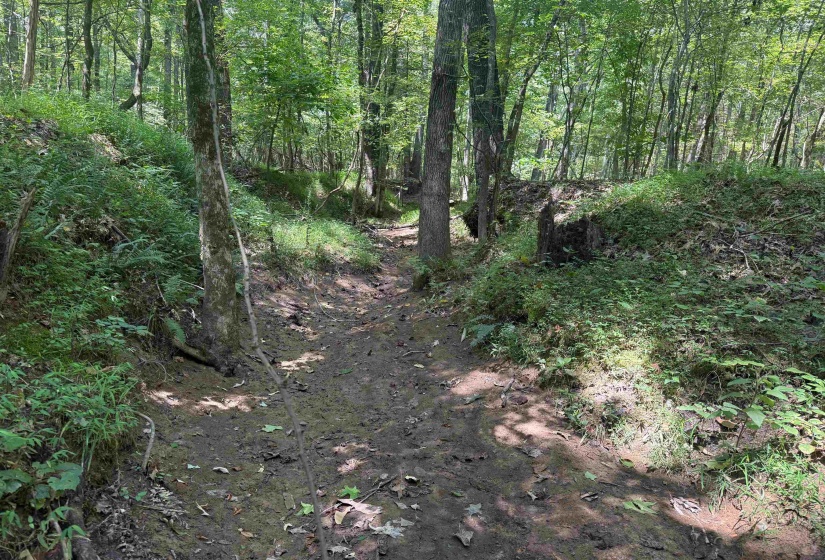 0 DONELSON DR, Eads, Tennessee 38028, 0 , 0 ,0,Land,For Sale,DONELSON,0,10222423