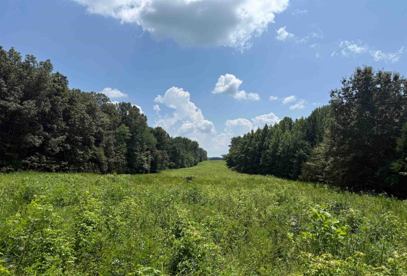 0 DONELSON DR, Eads, Tennessee 38028, 0 , 0 ,0,Land,For Sale,DONELSON,0,10222423