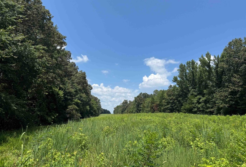 0 DONELSON DR, Eads, Tennessee 38028, 0 , 0 ,0,Land,For Sale,DONELSON,0,10222423