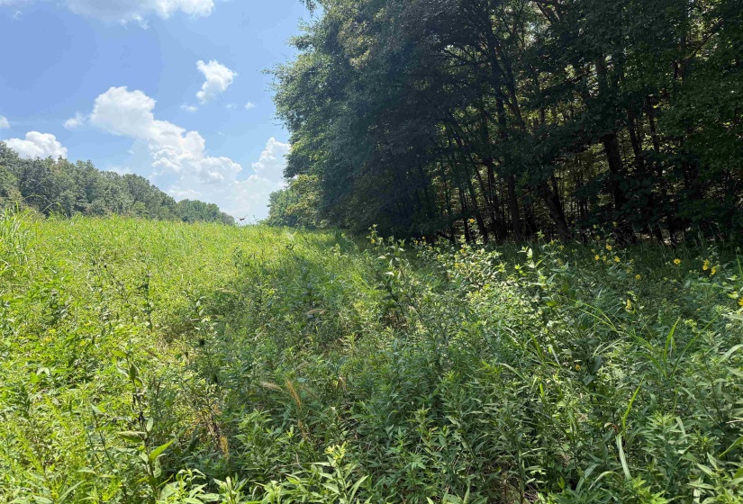 0 DONELSON DR, Eads, Tennessee 38028, 0 , 0 ,0,Land,For Sale,DONELSON,0,10222423