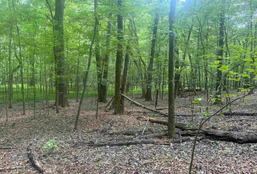 0 DONELSON DR, Eads, Tennessee 38028, 0 , 0 ,0,Land,For Sale,DONELSON,0,10222423