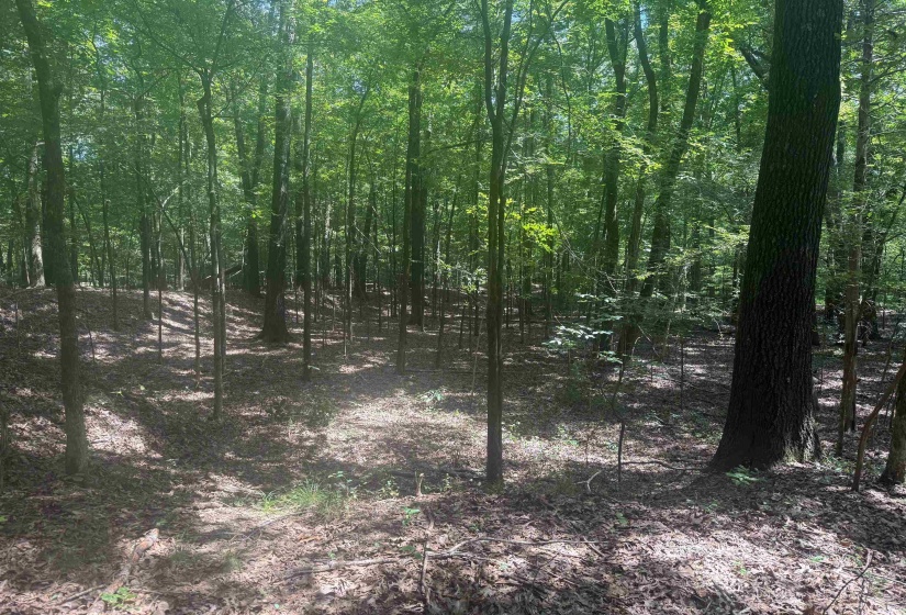 0 DONELSON DR, Eads, Tennessee 38028, 0 , 0 ,0,Land,For Sale,DONELSON,0,10222423