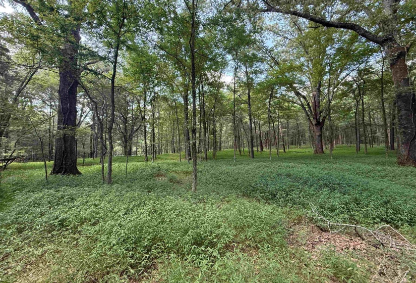 0 DONELSON DR, Eads, Tennessee 38028, 0 , 0 ,0,Land,For Sale,DONELSON,0,10222423