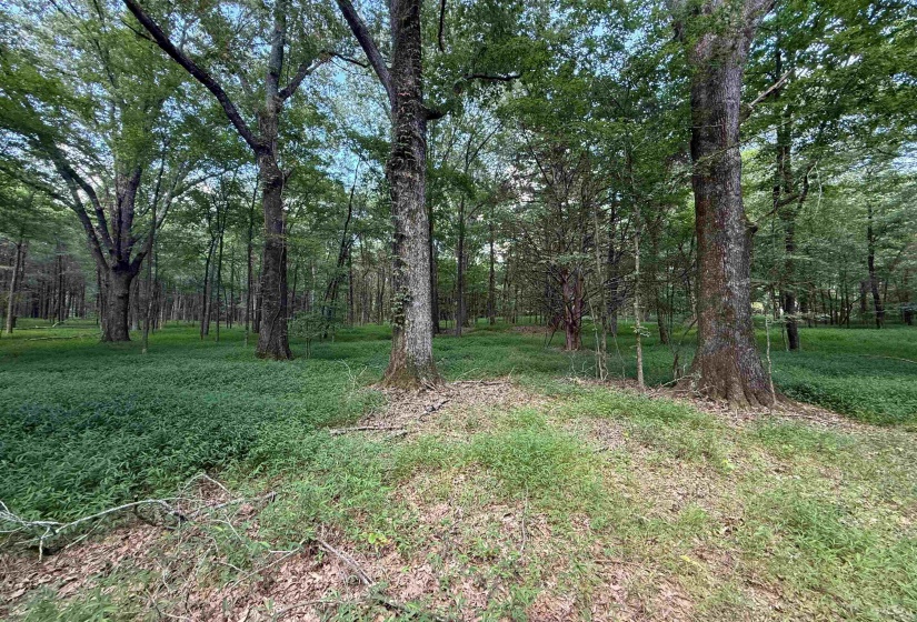 0 DONELSON DR, Eads, Tennessee 38028, 0 , 0 ,0,Land,For Sale,DONELSON,0,10222423