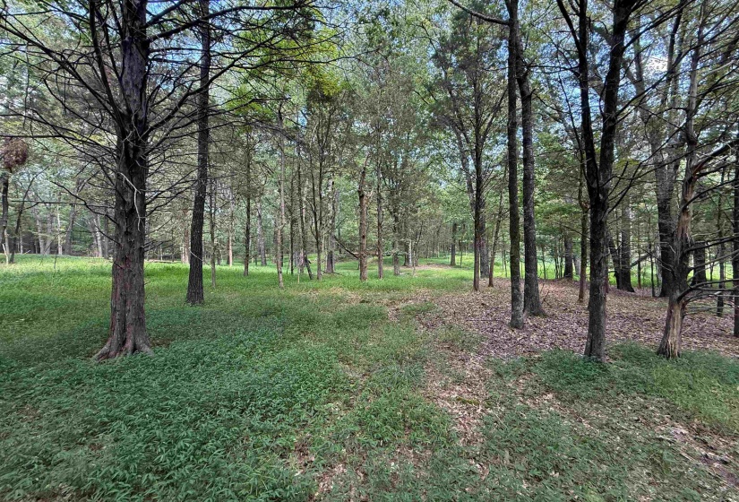 0 DONELSON DR, Eads, Tennessee 38028, 0 , 0 ,0,Land,For Sale,DONELSON,0,10222423