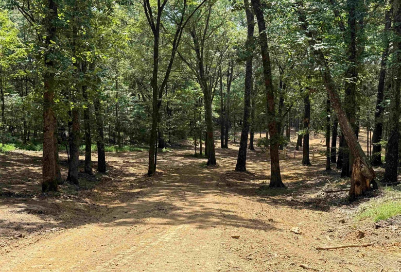 0 DONELSON DR, Eads, Tennessee 38028, 0 , 0 ,0,Land,For Sale,DONELSON,0,10222423