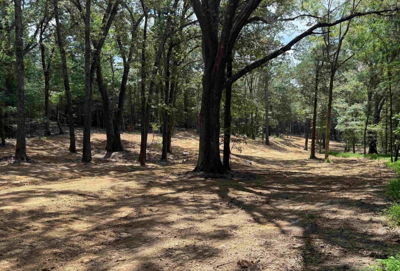 0 DONELSON DR, Eads, Tennessee 38028, 0 , 0 ,0,Land,For Sale,DONELSON,0,10222423