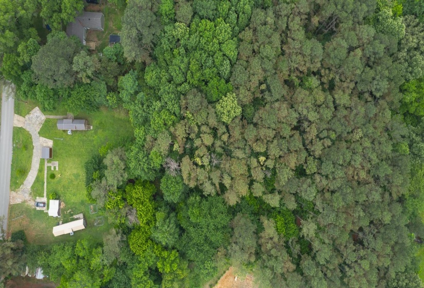 Expansive wooded acreage featuring a cleared building site, existing structures, and a partial paved driveway