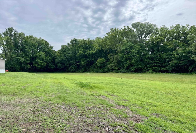 1150 WILLIE PARIS RD, Ripley, Tennessee 38063, 4 Bedrooms Bedrooms, 8 Rooms Rooms,2 BathroomsBathrooms,Residential,For Sale,WILLIE PARIS,10222436