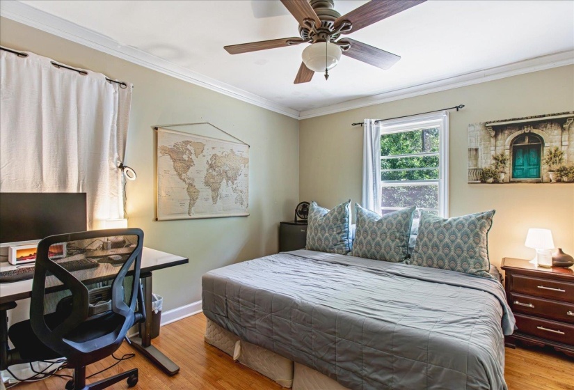 Spacious room featuring wood-finish flooring, a ceiling fan with light fixture, and crown molding