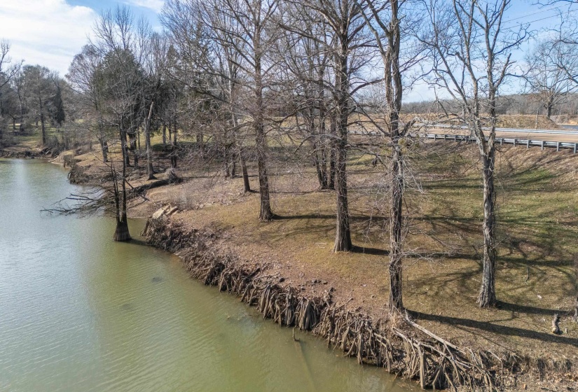 WATER ST, Clifton, Tennessee 38425, ,Land,For Sale,WATER,10222510
