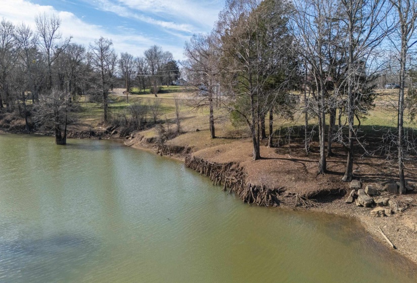 WATER ST, Clifton, Tennessee 38425, ,Land,For Sale,WATER,10222510