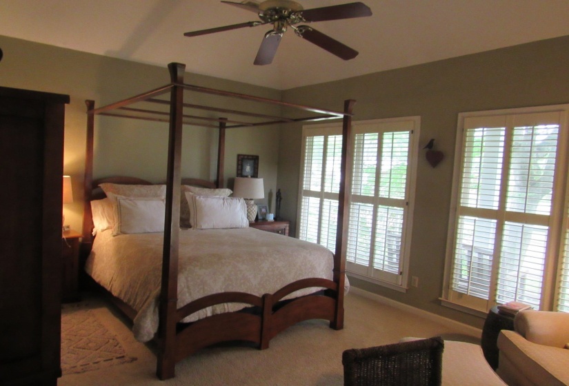 Spacious bedroom featuring multiple windows with plantation shutters, a ceiling fan, and plush carpet flooring
