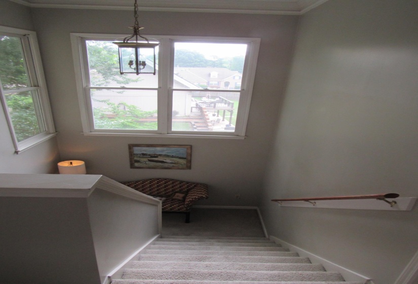 Carpeted staircase featuring a light gray color palette