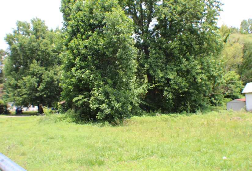 Expansive green space featuring natural tree lines and mixed foliage