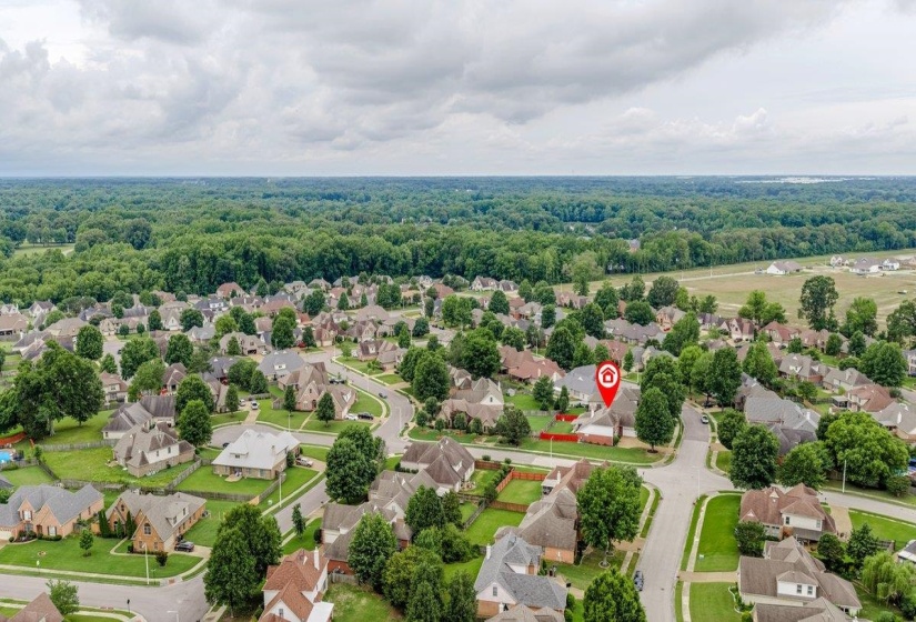 Aerial perspective showcasing a residential neighborhood with numerous homes on individual lots, mature trees, and a backdrop of dense woodland