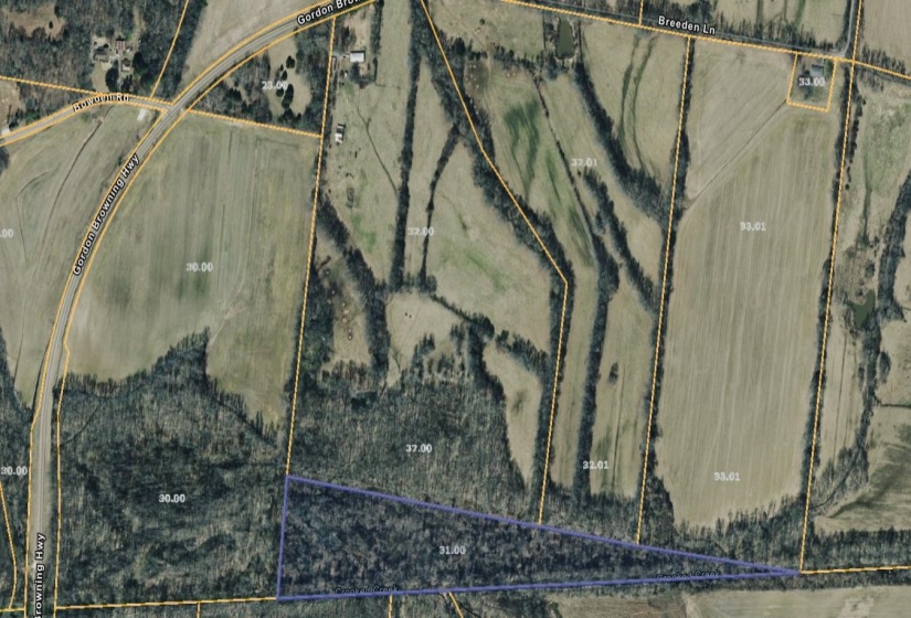 0 77 HWY, Huntingdon, Tennessee 38344, 0 , 0 ,0,Land,For Sale,77,0,10222536