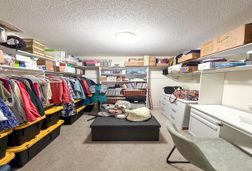 Walk-in closet featuring carpet flooring, built-in shelving, hanging rods, an integrated desk, and a flush-mount ceiling light