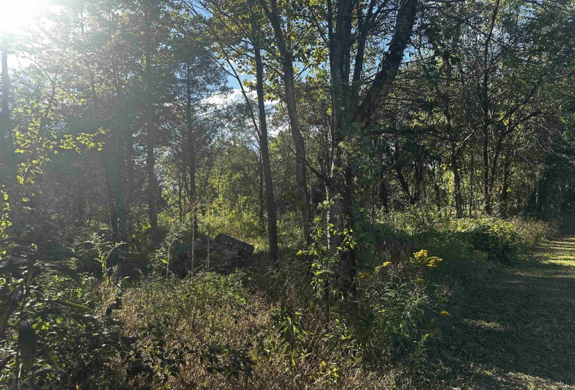 152-155 CATFISH LN LN, Crump, Tennessee 38327, 0 , 0 ,0,Land,For Sale,CATFISH LN,0,10222593