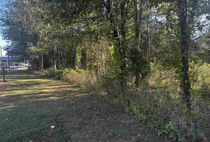 152-155 CATFISH LN LN, Crump, Tennessee 38327, 0 , 0 ,0,Land,For Sale,CATFISH LN,0,10222593