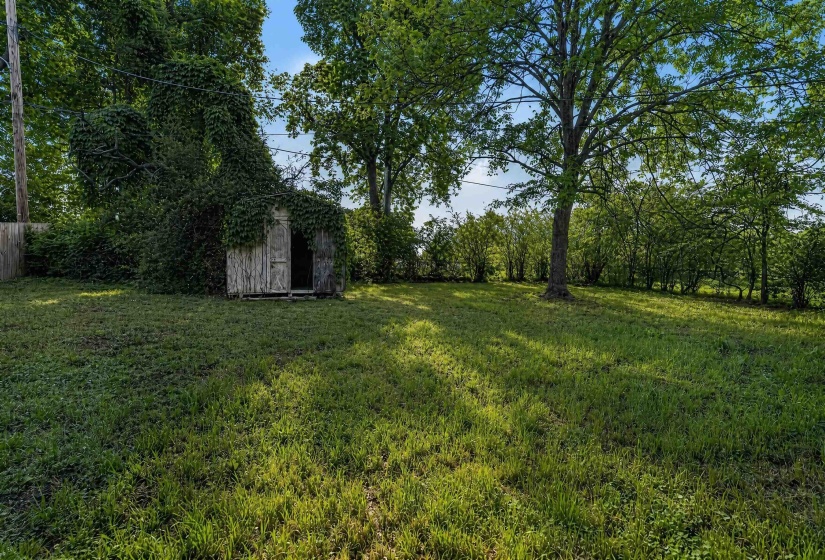 Expansive grassy yard featuring mature trees and a weathered wooden storage shed