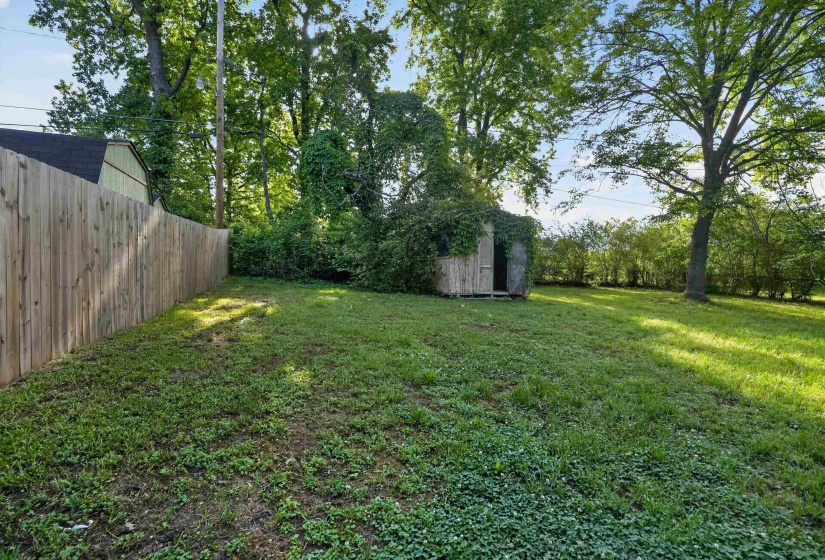 Expansive backyard featuring a natural wood privacy fence, mature trees, a storage shed, and a verdant lawn