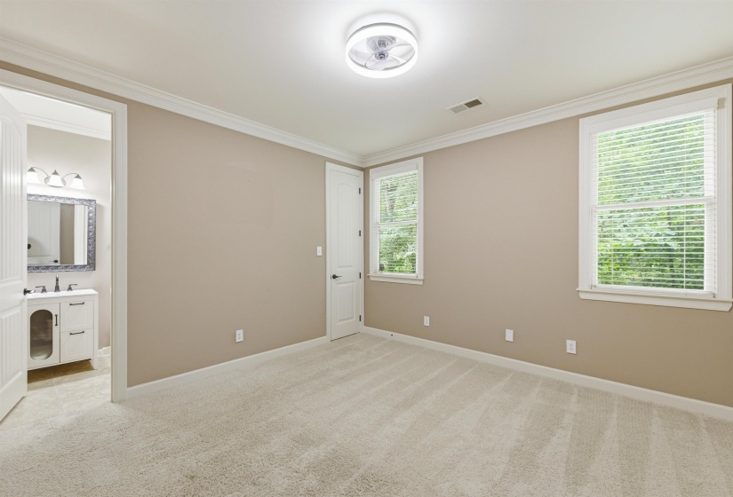 Neutral-toned room with plush carpet flooring, white trim, and two windows featuring horizontal blinds